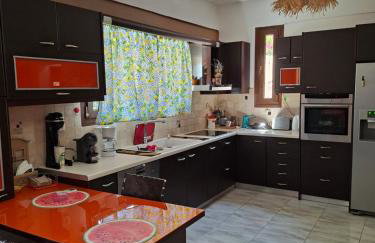 Zoe's house Salamina - Foto 5