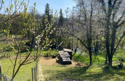 FeWo Sirona - Foto 41