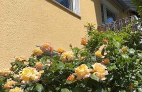 near Düsseldorf Messe and Airport, two Bedrooms, Parking, Kitchen and Garden - Photo 11