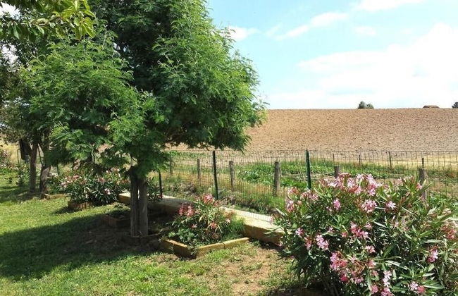 Agriturismo Airone - Photo 27