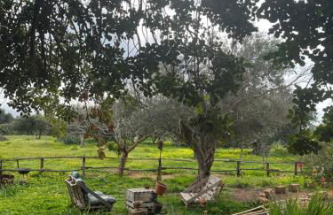 La Casa del Carrubo con Piscina condivisa in campagna vicino al mare - Canestanco 18 - Foto 57