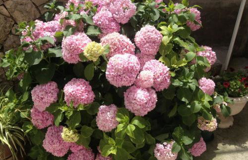 Apartment Mistral - Cosy Apartment with Sea view - Photo 22