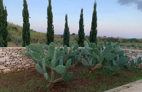 Relais Masseria Sant'Antonio - Foto 31