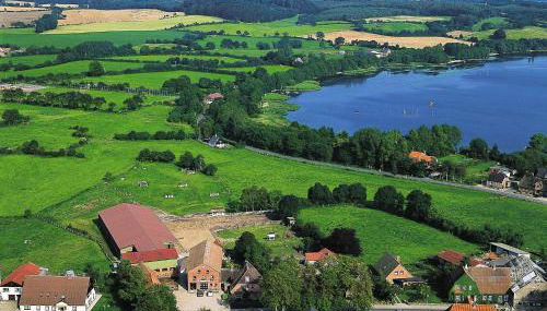 Ponyhof Naeve am Wittensee - Foto 3, Garden