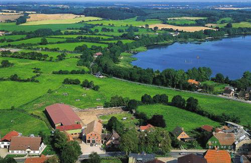 Ponyhof Naeve am Wittensee - Foto 3