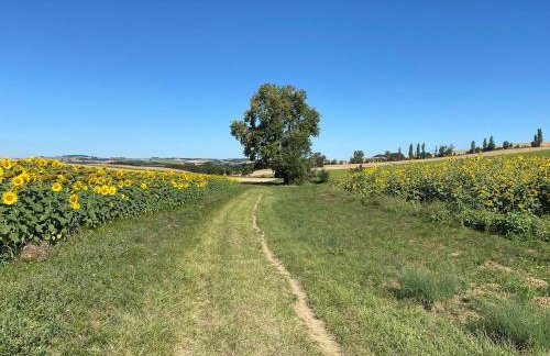 Logement entier de charme, gite équestre GERS Flamarens - Foto 26