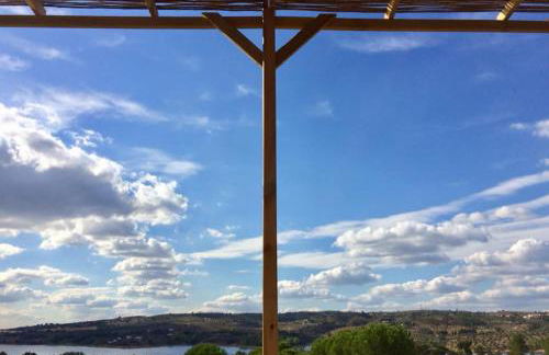 Monte da Tojeirinha - Foto 25