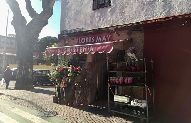 Seville Vacation Rentals – Triana - Foto 35