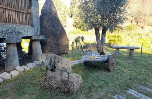 Moinhos Carvalhas - Foto 10