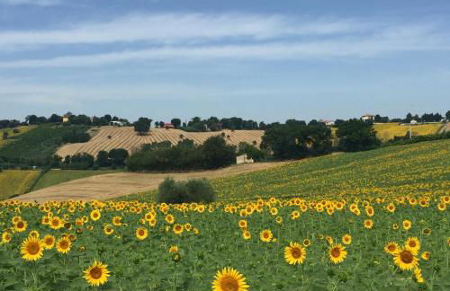 Montenovo Country House - Foto 65