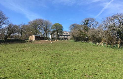 Higher Trewithen - Photo 59