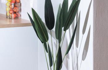 Luxury Villa Muse Calliope - Photo 30