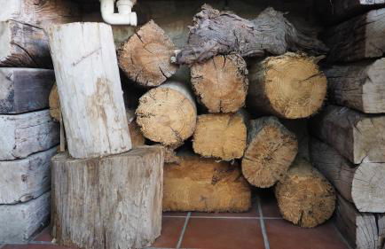 L'Era de Cal Roger - Foto 79