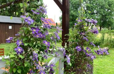 Uroczy dom nad jeziorem Śniardwy tuż obok plaży - Foto 17