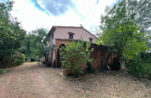 La casa nel bosco - Foto 5