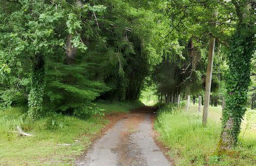 Maison de charme à Brantôme en Périgord avec piscine partagée - Foto 46