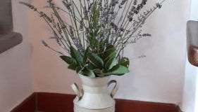 Il Telaio - Pian di Nenne - Foto 2