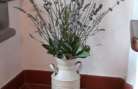 Il Telaio - Pian di Nenne - Foto 2