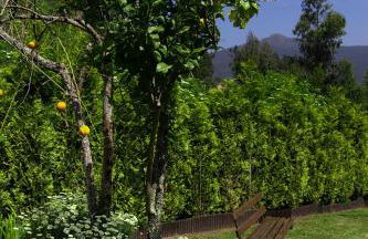 Paraíso Ortegal - Foto 21