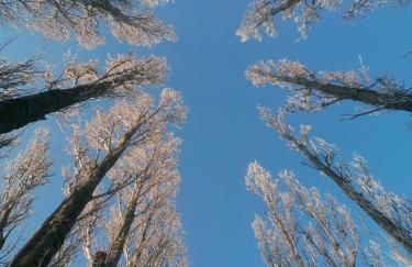 Grand Elegant Georgian Villa Wye Valley National Park - Foto 77