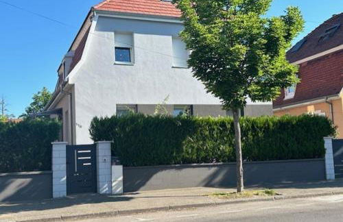 Le petit logelbach - Foto 19