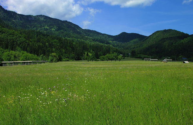 Serene Apartment in Bohinjsko Jezero near Ski Lift - Foto 20