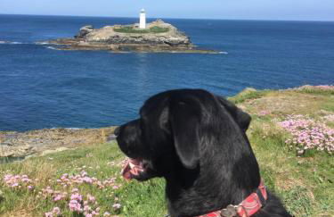 Little Nampara Cottage - Foto 14