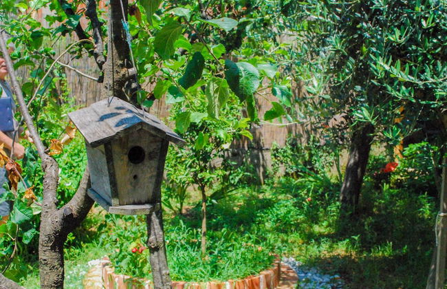 Apartments Tea Kotor - Foto 71