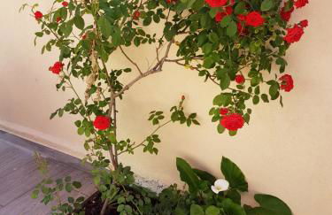 "Ô Tour's Angels" FEBVOTTE - Foto 28