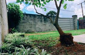 Cantinho Dona Cleide - Foto 72