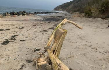 Pilars Fischwerk - Foto 22