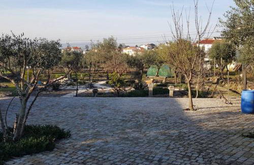 Casa Bento Moura Portugal - Foto 18