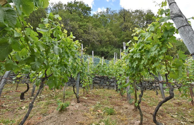 Rustico Rebustella - Foto 26