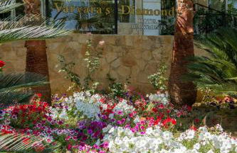 Varvaras Diamond Hotel - Foto 27