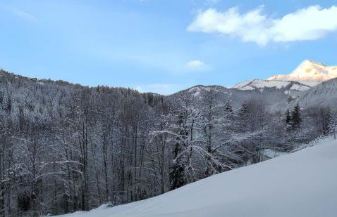 Appartement confortable avec vue sur la montagne - Photo 14