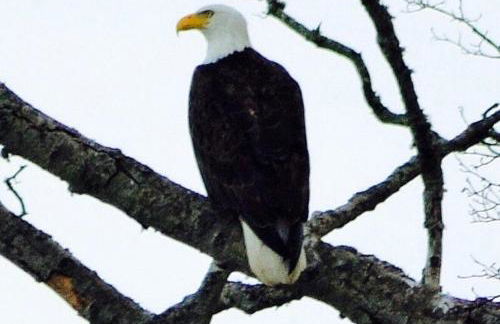 TideAway Farm on Private Island! Escape & Indulge Mother Nature! - Foto 20