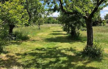 Auszeit im Seenland - Foto 27