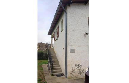 La dame aux fleurs - Foto 10