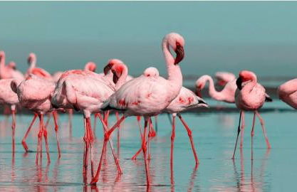 Studio Récent Prés d'Arènes Terrasse Wifi parking privé - Foto 16