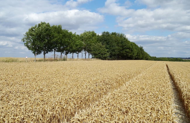 Manor Farm B & B - Foto 47