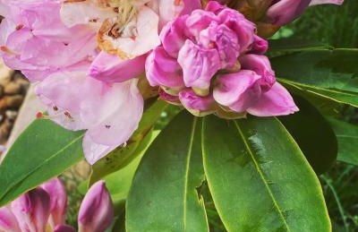 Casa Rural Cerro del Mariscal - Foto 26