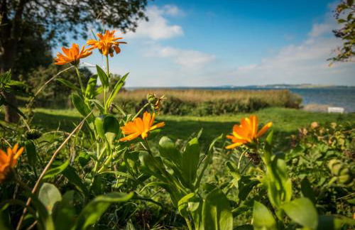 Ferienwohnungen Müller - Foto 53