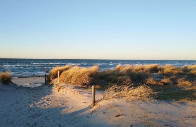 Seaside Apartment in Insel Poel With Sauna - Foto 28