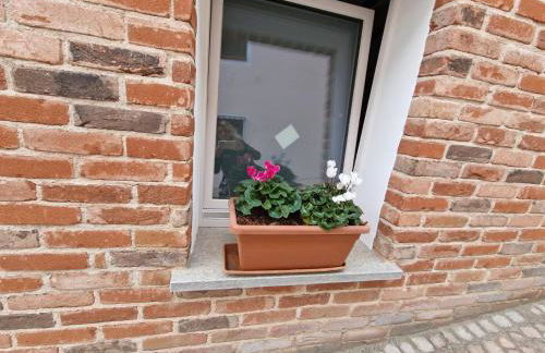 SOGNANDO NEL ROERO - Guest House - Photo 6