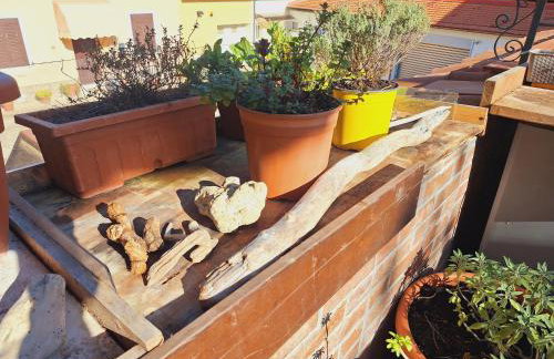 La Casina Lungomare di Fabi Livorno - Foto 45