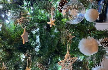 The Shieling, Tenby, Town Centre - Foto 68