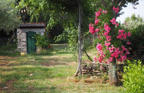 Cottage Casa Vinela - Foto 6