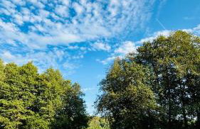 Czaplowisko - domki z sauną na Kaszubach - Foto 26