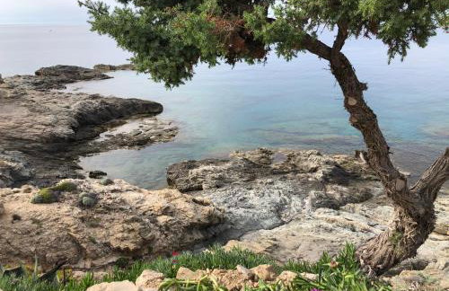 Toxotis Villas - Foto 36