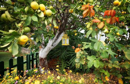 Finca Ecológica Quinta Los Tizones - Foto 61